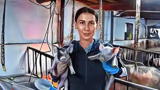 Борьба с мухами! Семейный отдых!