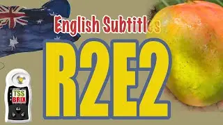 EP-80 R2E2 മാമ്പഴത്തിന്റെ രുചിയും മധുരവും R2E2 mango taste review BRIX TSS SWEETNESS