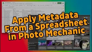 Apply Metadata From a Spreadsheet using Photo Mechanic