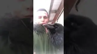 Говорящий ворон!!! Ну почти говорящий