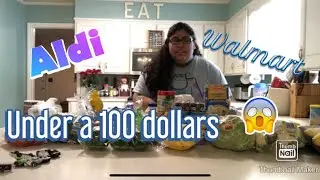 GROCERY HAUL ON A BUDGET (ALDI/WALMART)🍏🍅🍇🥚🧀