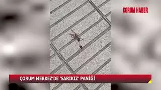 ÇORUM MERKEZ’DE ‘SARIKIZ’ PANİĞİ