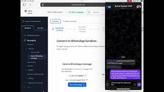 Set Webhook Whatsapp Twilio