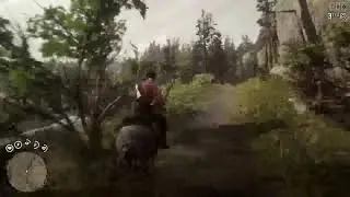 Live on Red Dead Redemption 2