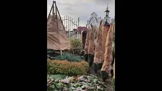 Подготовка сада к зиме