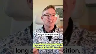 The Power of Non-Commercial Traders in the COT Report: Why Their Moves Matter