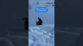 10 августа 2024 г.