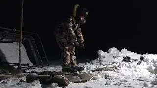 С Артемом на проверку. Перемет реабилитировался или новичкам везет))