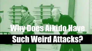 Aikido's weird attacks  WHY