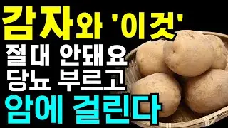 감자와 절대로 같이 먹지 마세요! 당뇨에 걸리고 암에 걸릴 수 있습니다! 감자와 같이 먹으면 독이 되는 음식 3가지와 보약이 되는 음식 3가지 감자효능 건강정보