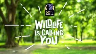 Why are YOU called to Denver Zoo?