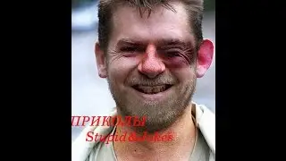 Приколы видео подборки за сентябрь 2015 Новые Свежие Лучшие