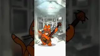 Котобас или басокот