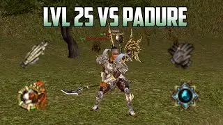 Lvl 25 VS Padurea Rosie | METIN2 RO