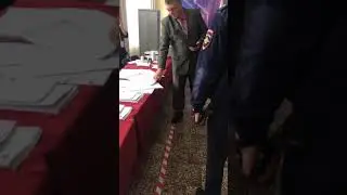 Нарушения в г.о. Чехов