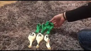 Beautiful balloons pop