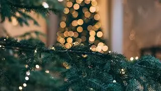 С НОВЫМ ГОДОМ!!!