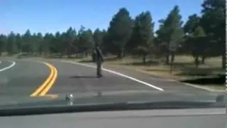 Downhill RipStiking at the US Air Force Academy - 40 mph top speed