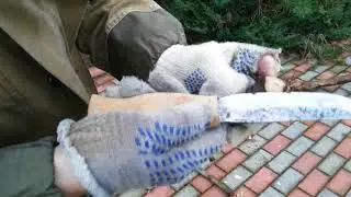 Два кованых ножа проверяем