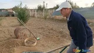 Çim nasıl ekilir?