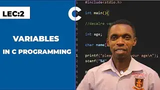 C Programming Tutorial for Beginners — Understanding Variables in C
