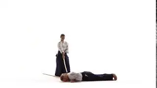 Male, Female Demonstrating Aikido Using Bokken. Isolated, White | Stock Footage - Envato elements