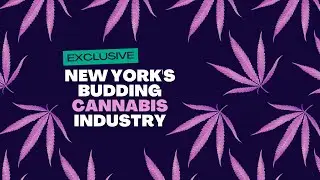 New York's Budding Cannabis Industry