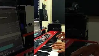Piano playing.                                    #nord #royalgrand3d #piano