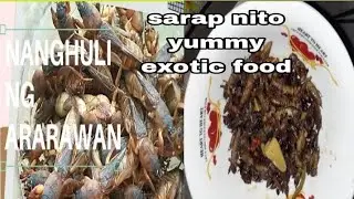 cooking camaro(ARARAWAN) SARAP NITO