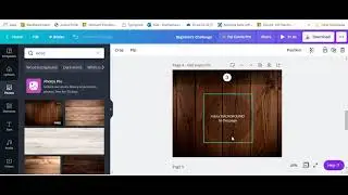 Canva Beginners Tutorial