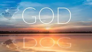 A Dog | Short Film | Film Villa