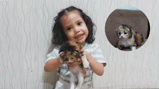 KUCING PAKAI BAJU LUCU BANGET ANABUL GEMOY MAIN SAMA RINJANI🥰
