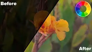 Using the Crop Tool in Rawtherapee
