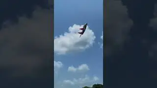 This is not a real plane 