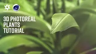Creating Photorealistic 3D Plants in Cinema 4D & Octane Render