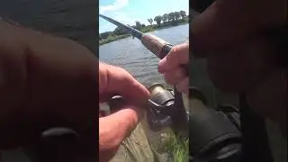 ПОКЛЁВКА С ЛЁТА. ХОРОШАЯ ПЛОТВА.
