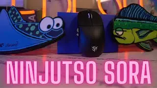Ninjutso Sora Review