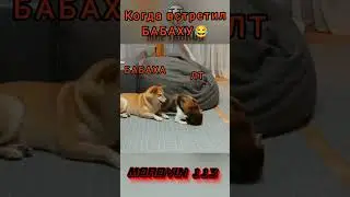 Когда встретил БАБАХУ😂 #миртанков #приколымиртанков #wot #танки #shorts