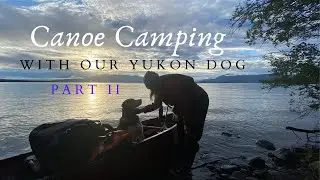 Canoe Camping Trip with Our Yukon Dog in Yukon, Canada (Part II)