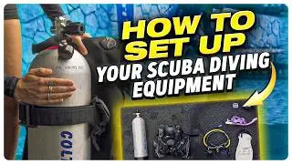 Scuba Diving: How to Set Up Your Scuba Diving Equipment | (Scuba Gear Assembly)