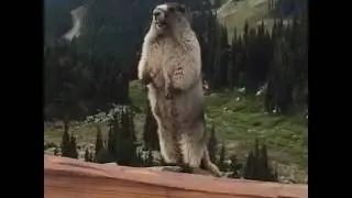 Bmbxj  ksn2 nllkbcmm.bnjm .  B      vvv vv