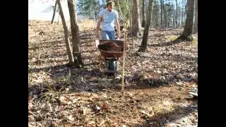 Planting Peaches for Preppers for a Future Homestead