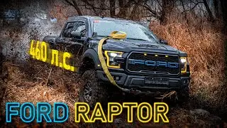 460 американских мустангов!  Raptor круче TLC300