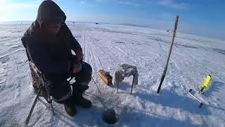 К  Соболев Стихи о рыбалке на Байкале Часть 2