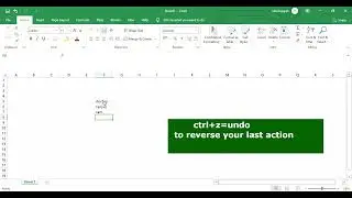 excel undo and redo shortcut