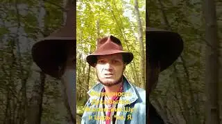 Я ФАЛЛОС Духа Бытия! 