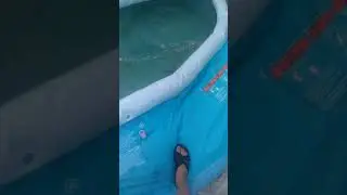 Первый раз в жизни вижу лягушкс