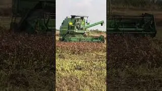 Harvesting 🔥..#trending #trendingreels #foryou #foryoupage #harvesting #mahindra #jondeere