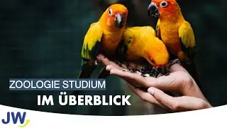 Das Zoologie Studium im Überblick!