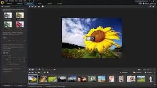 CyberLink PhotoDirector 8 - Farbeffekte/Farbspritzer